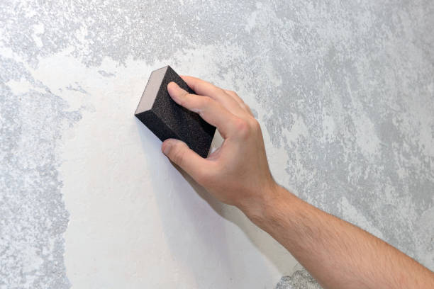  Rothschild, WI Mold Removal Pros