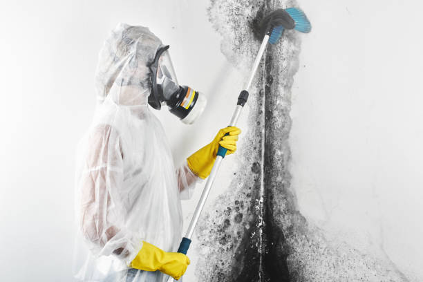 Best Mold Removal for HVAC Installations  in Rothschild, WI