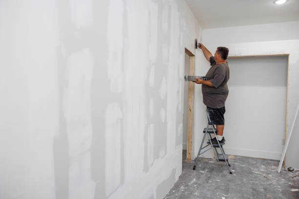Best Mold Damage Restoration  in Rothschild, WI