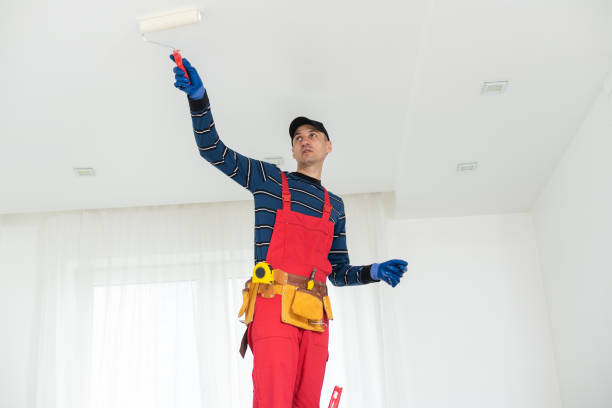 Best Basement Mold Removal  in Rothschild, WI