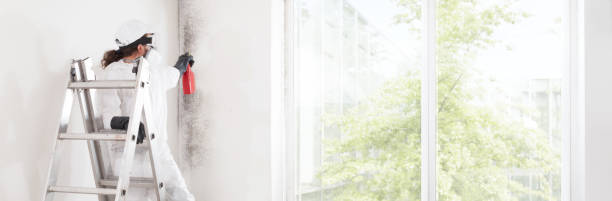 Best Industrial Mold Remediation  in Rothschild, WI