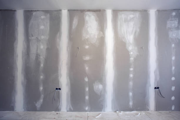 Best Mold-Related Health Consultation  in Rothschild, WI