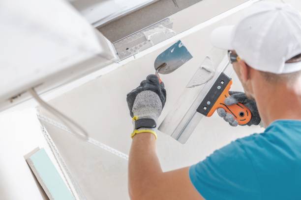 Best Mold Documentation for Insurance Claims  in Rothschild, WI
